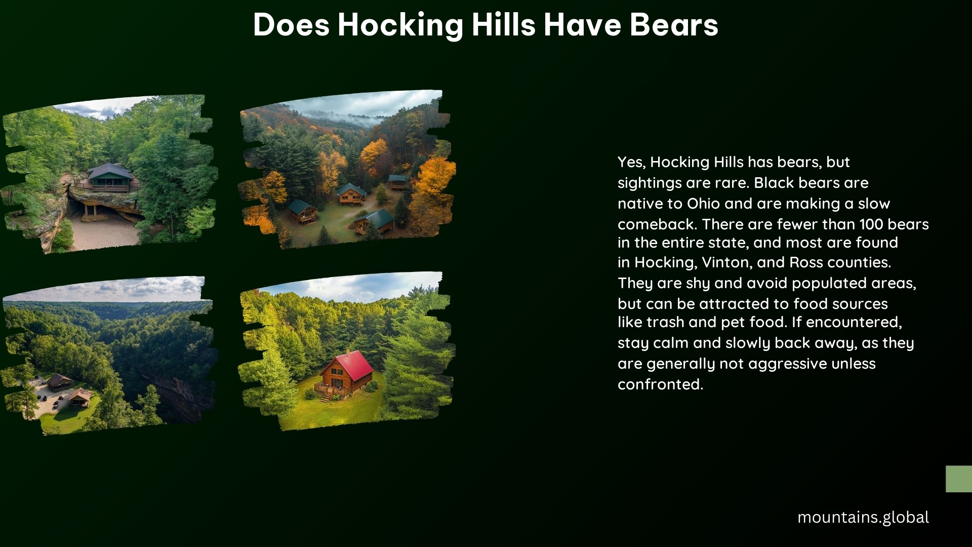 Does Hocking Hills Have Bears