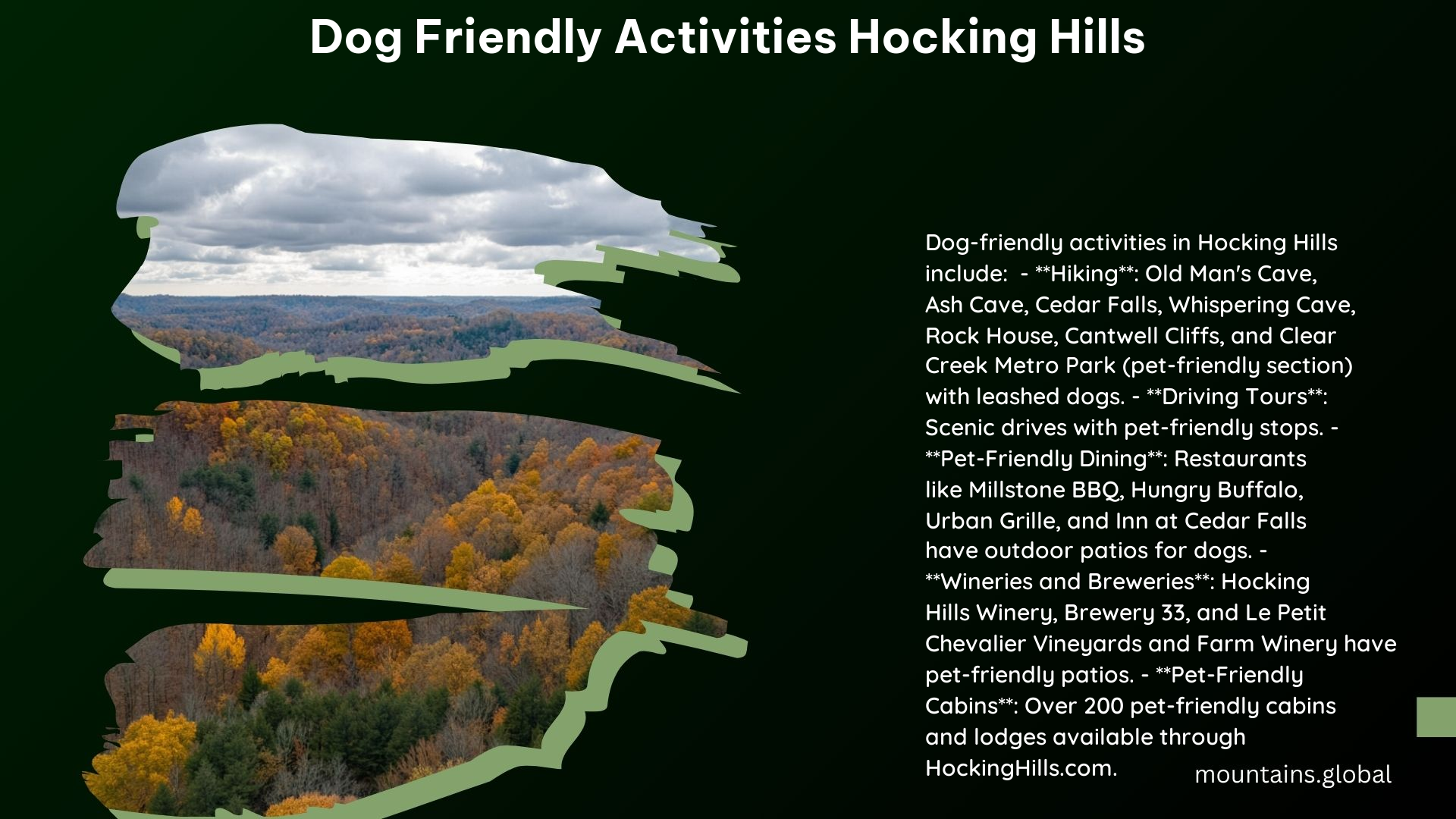 Dog Friendly Activities Hocking Hills