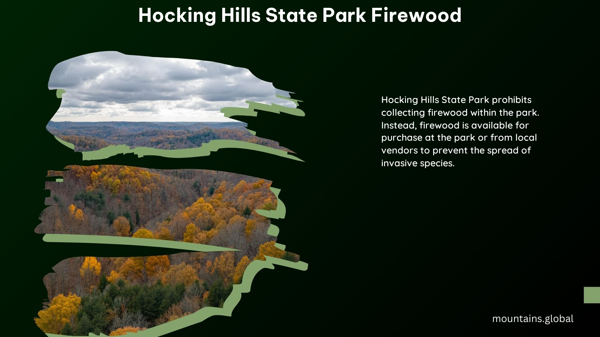 Hocking Hills State Park Firewood