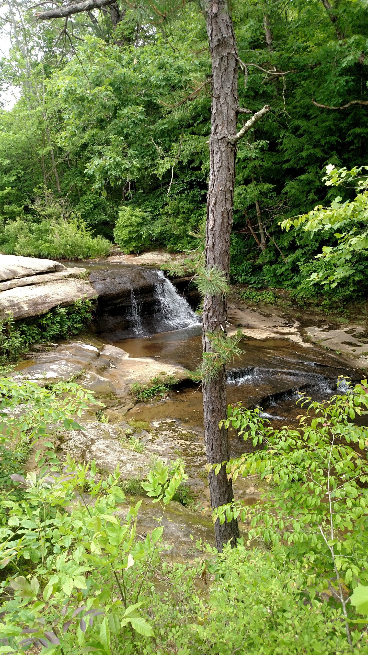 Hocking Hills Shelter