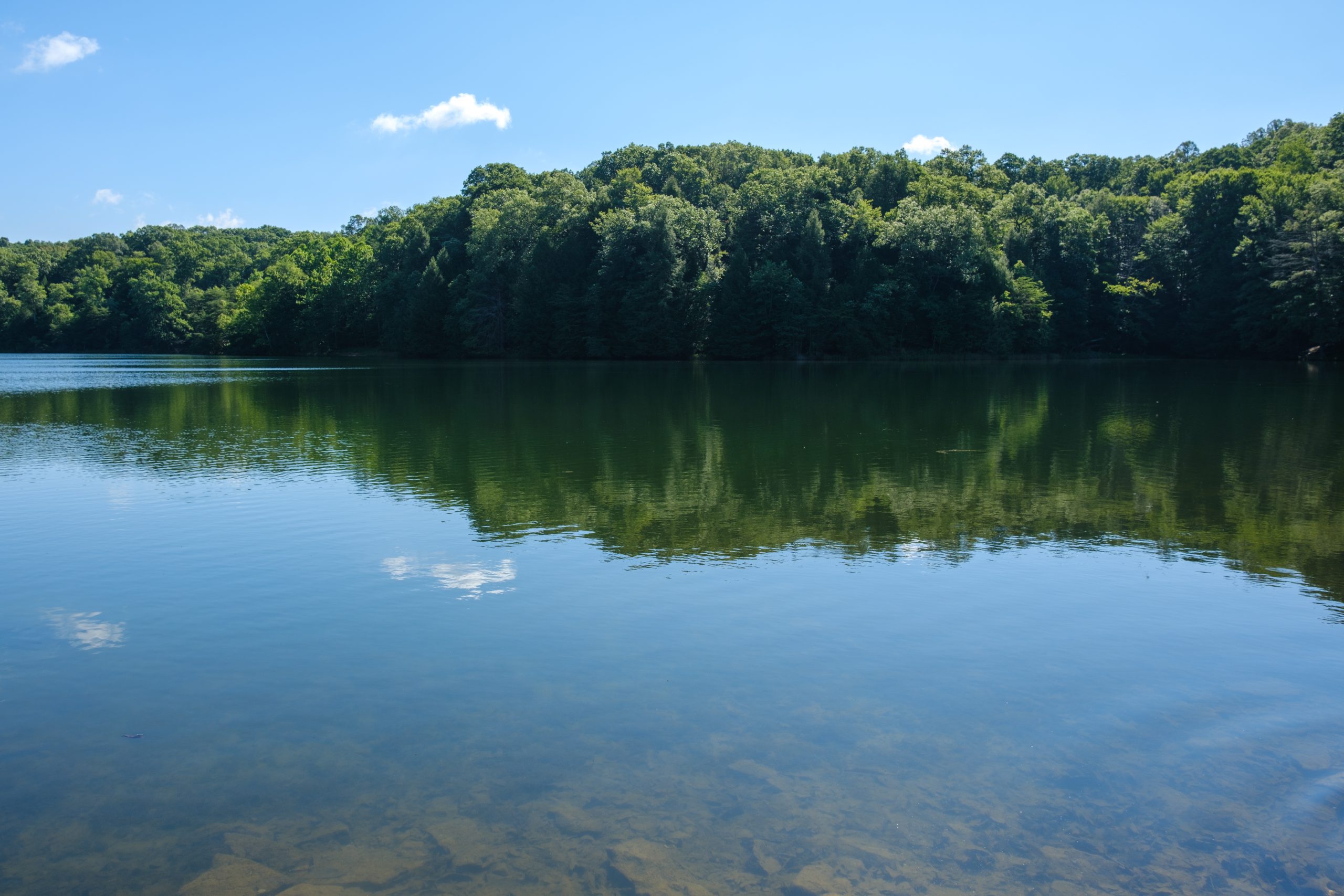 Hocking Hills Wedding Packages for Two