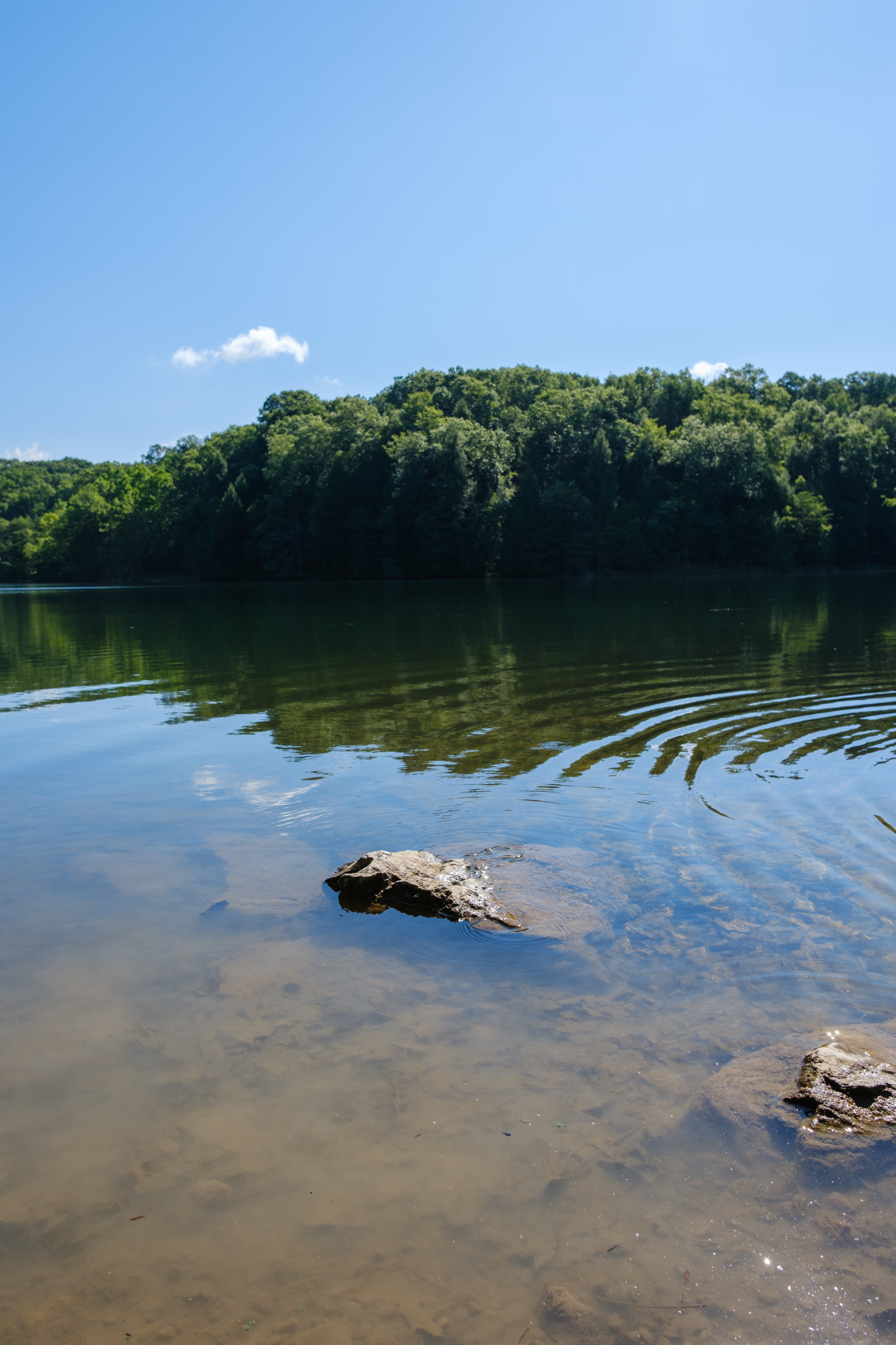 Hocking Hills State Park Horseback Riding