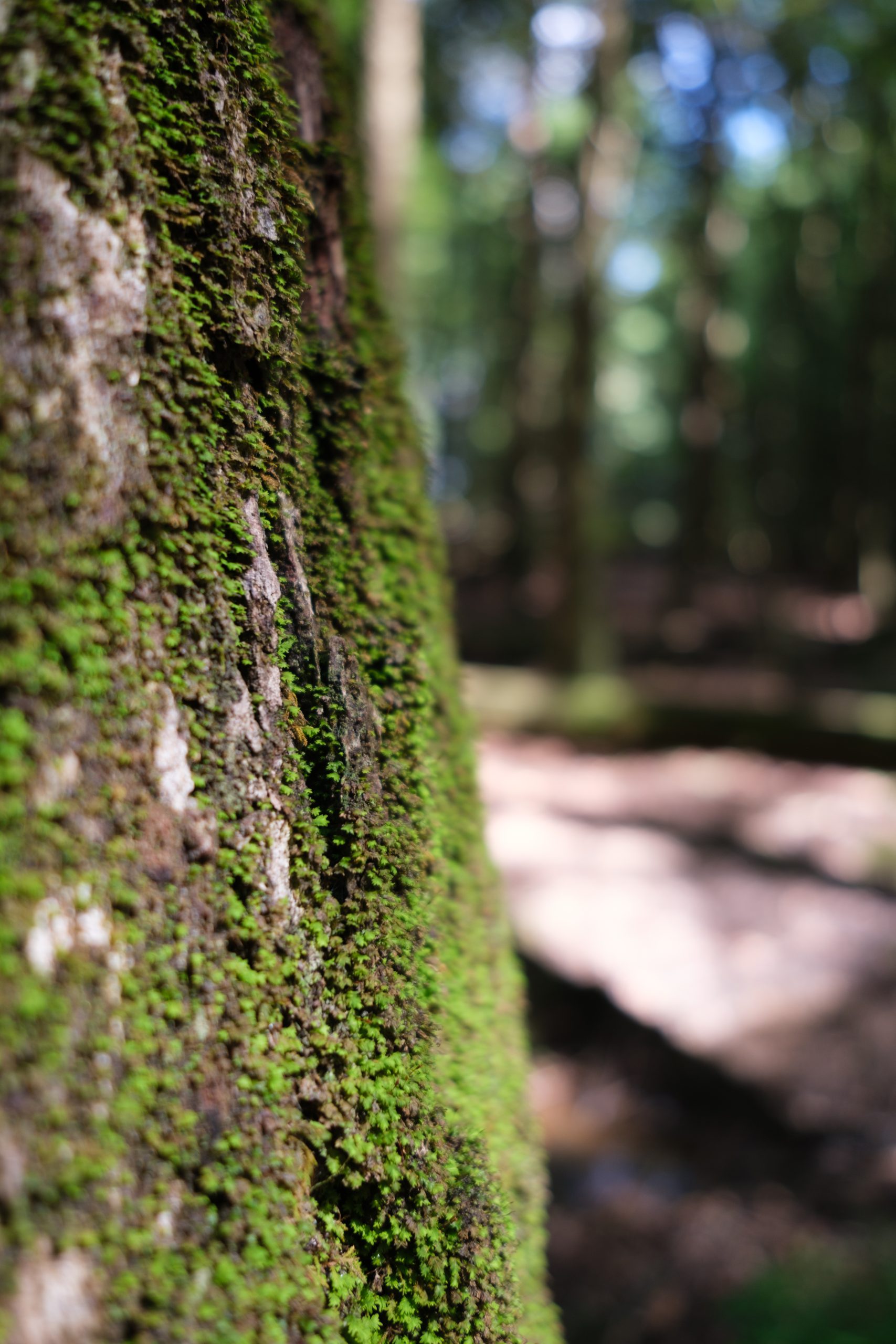 Does Hocking Hills State Park Campground Have WiFi