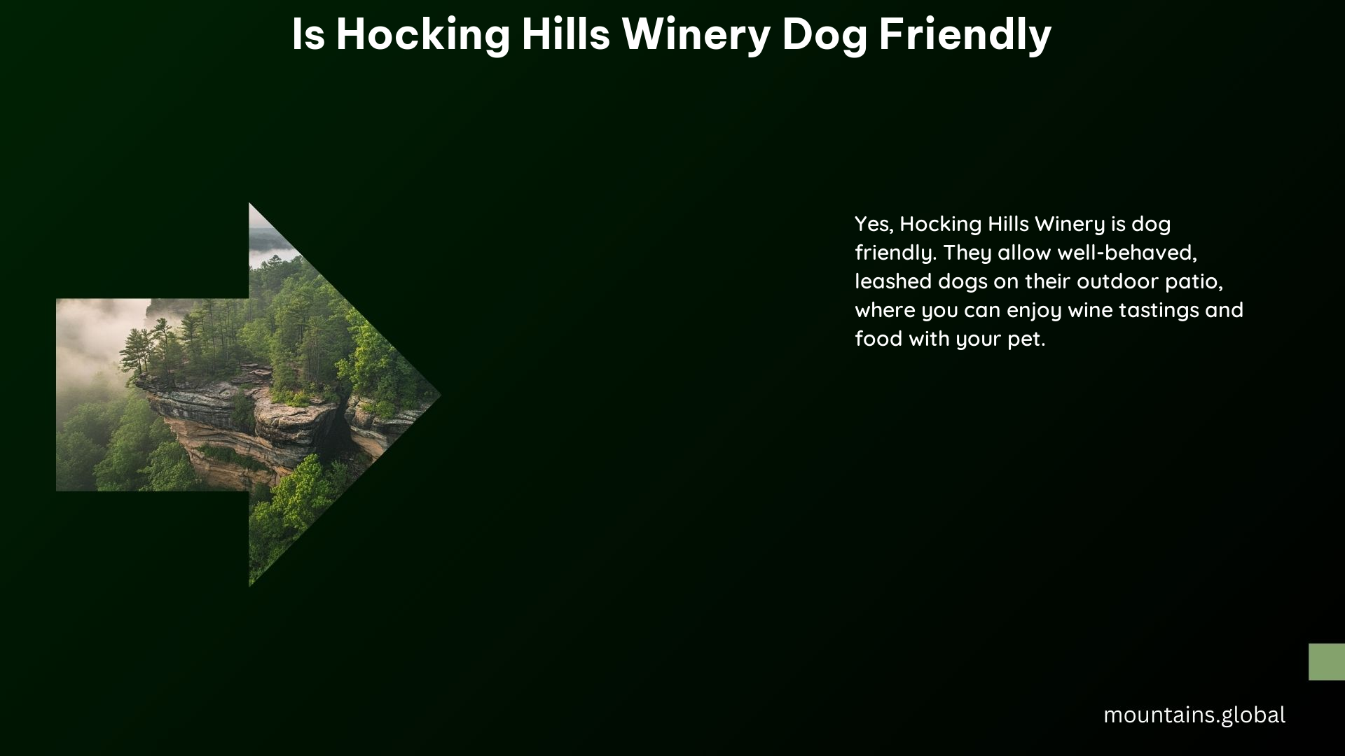 Is Hocking Hills Winery Dog Friendly