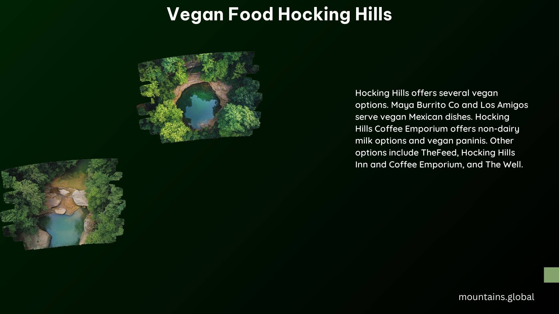 Vegan Food Hocking Hills