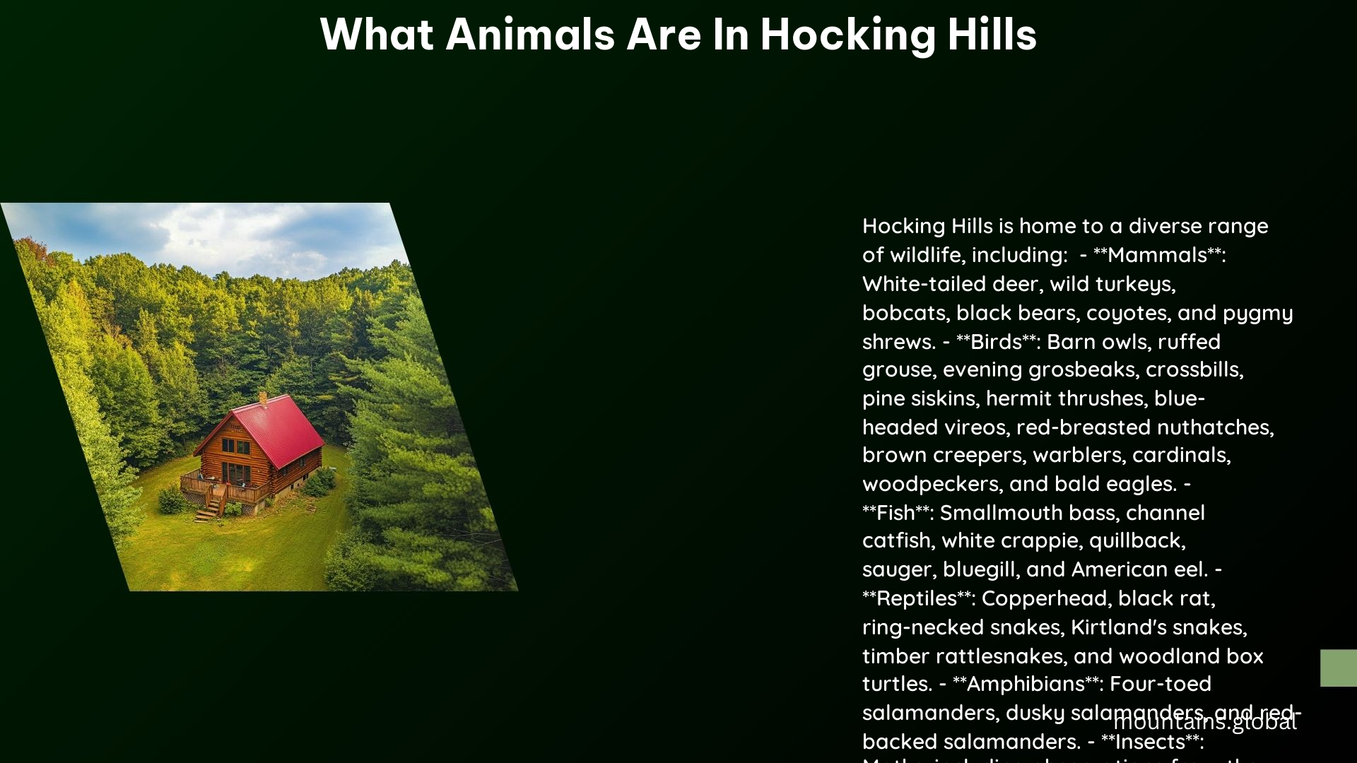 What Animals Are in Hocking Hills