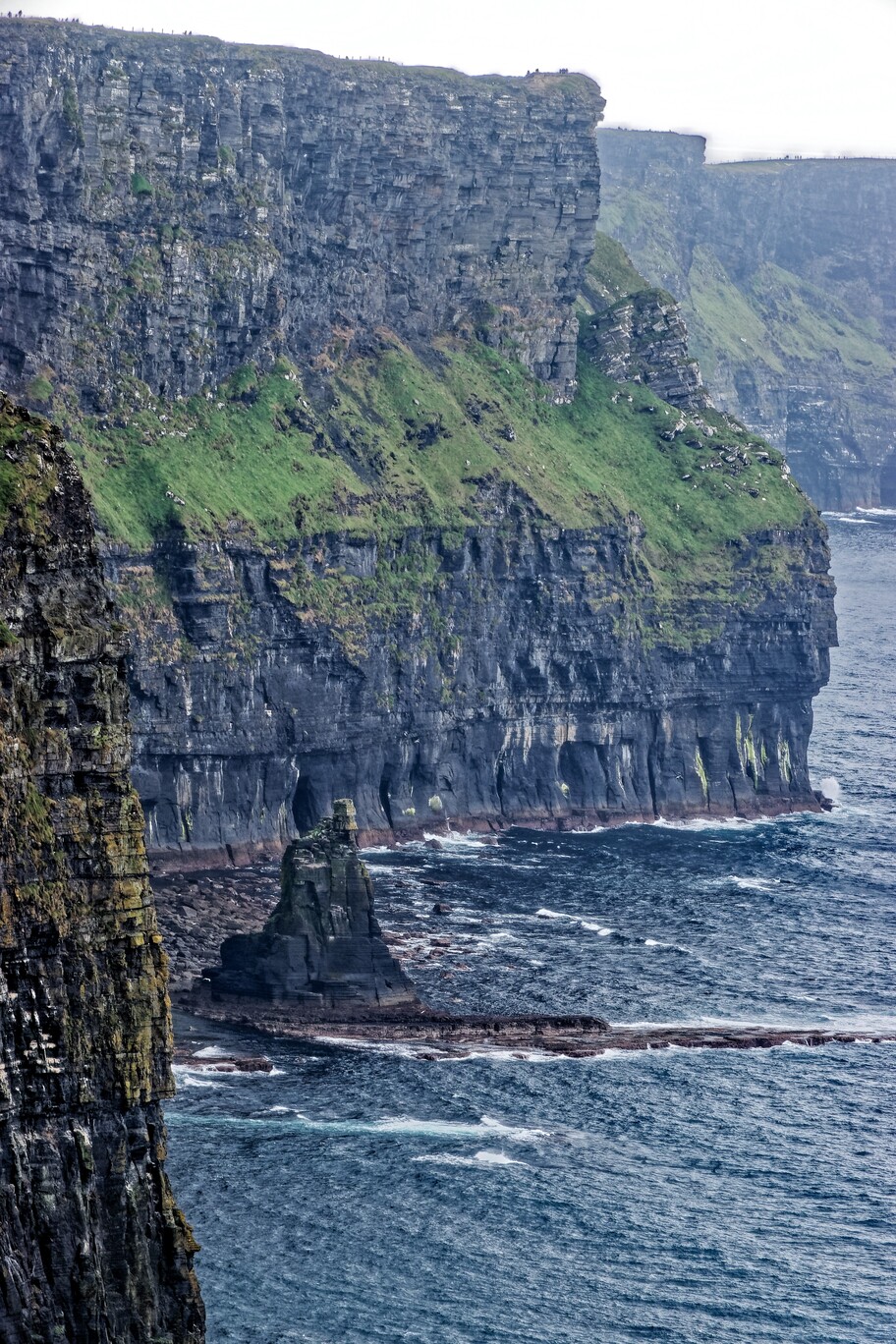 cliffs of moher bird watching