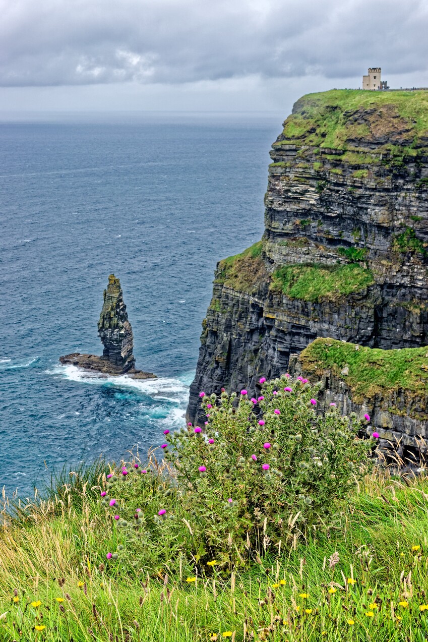 cliffs of moher lemon rock