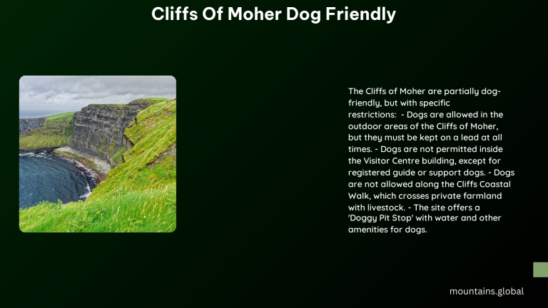 cliffs of moher dog friendly 1