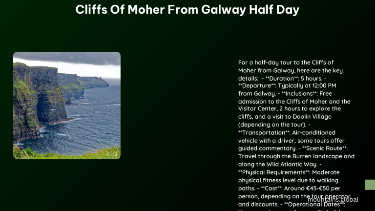 cliffs of moher from galway half day