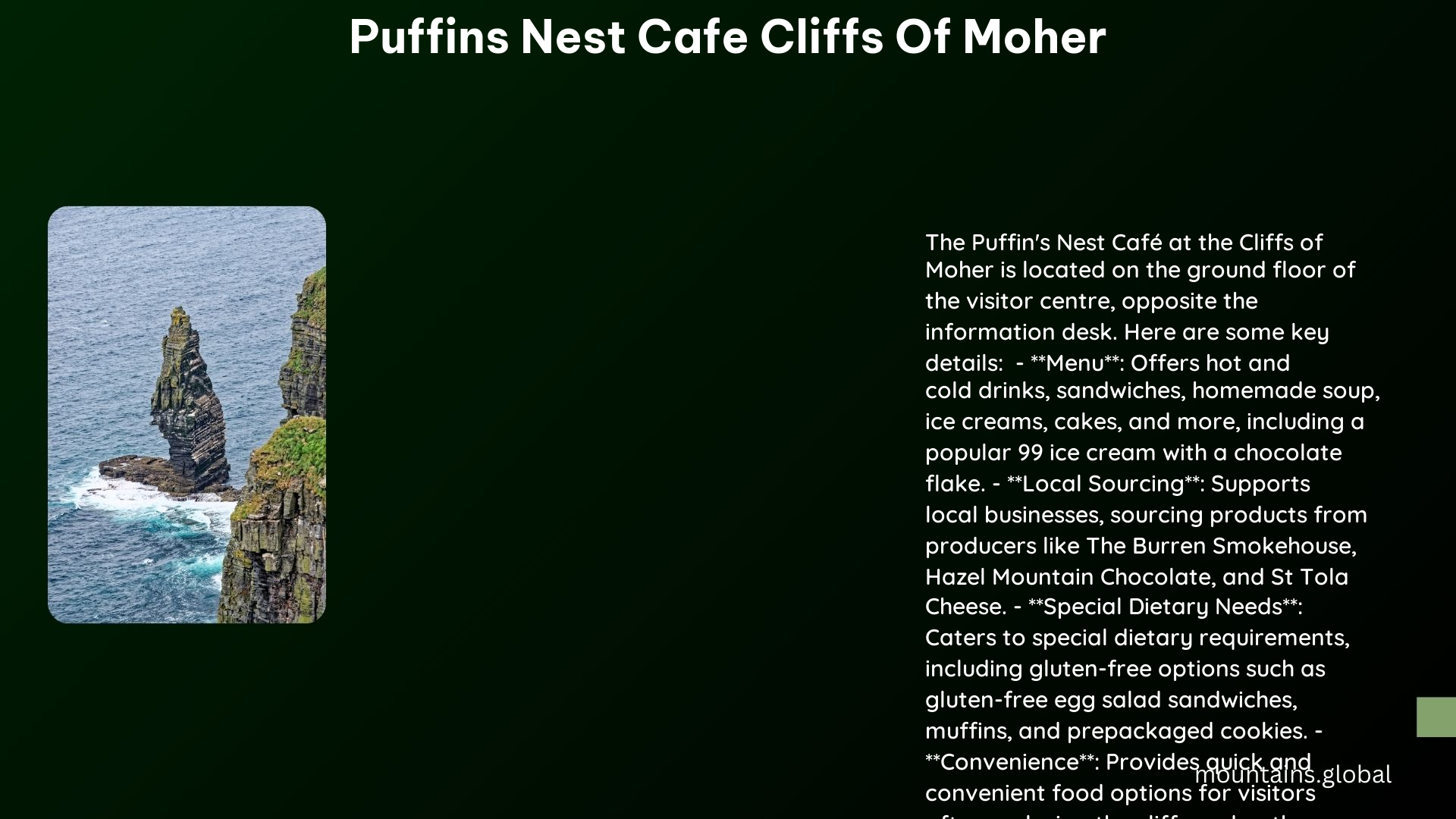 puffins nest cafe cliffs of moher