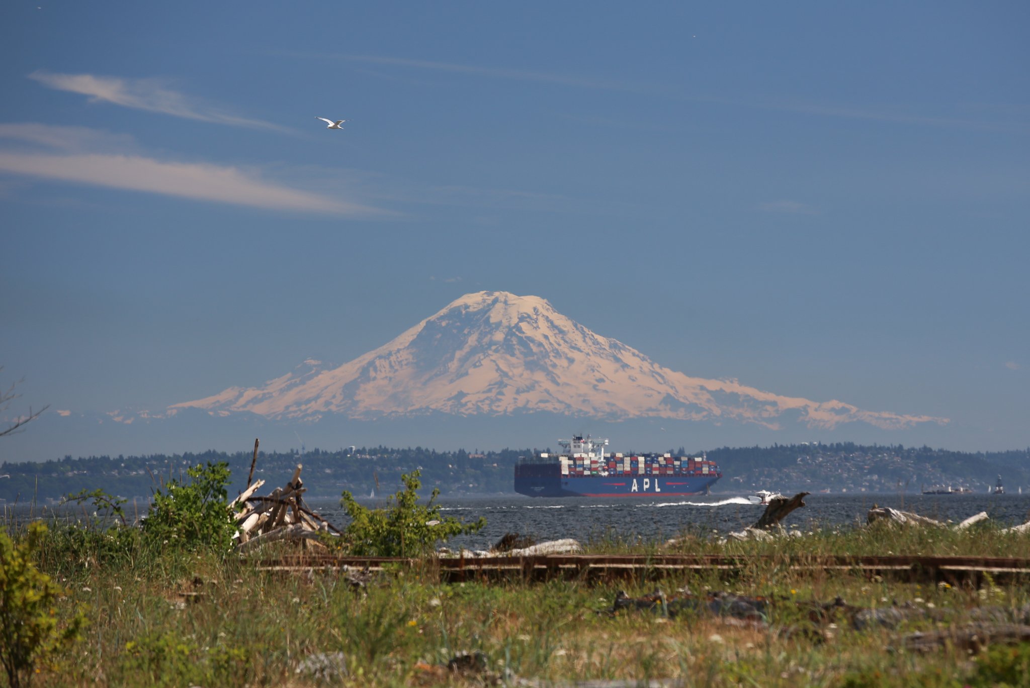 mount rainier snowiest feet of snow