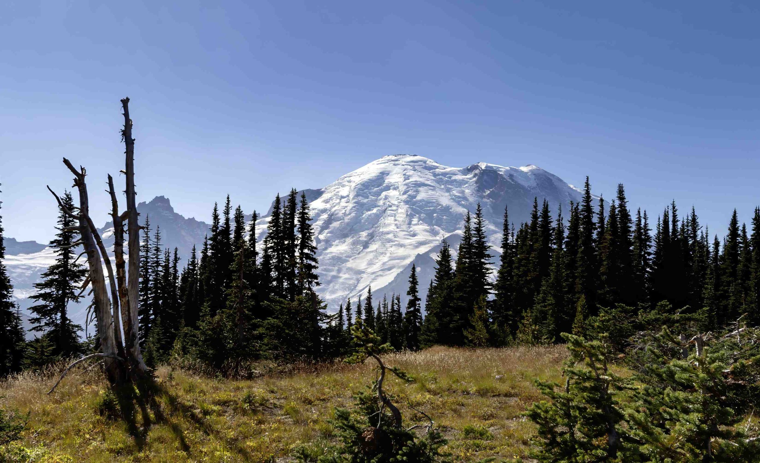 mount rainier from west coast