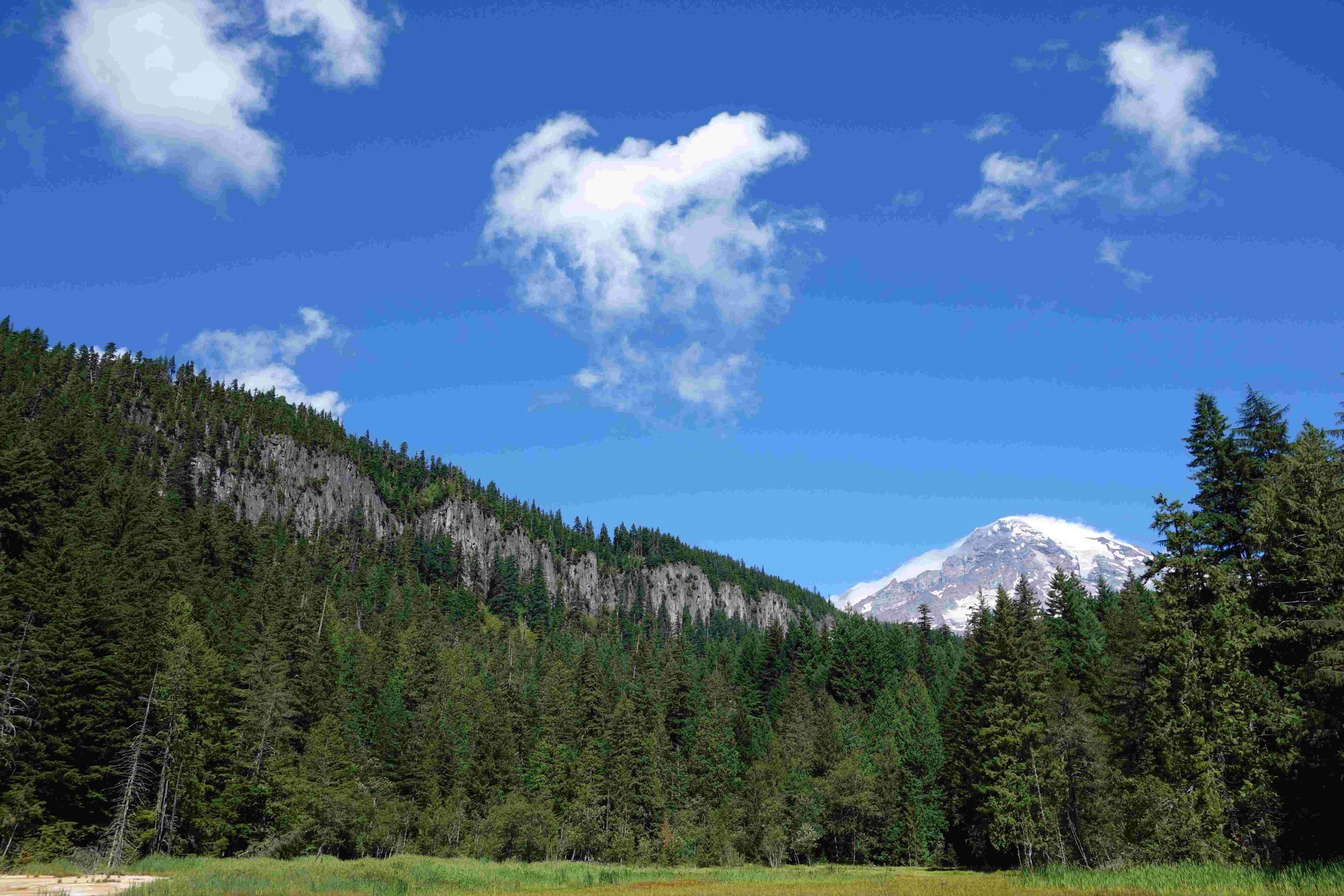 carbon river entrance to mount rainier