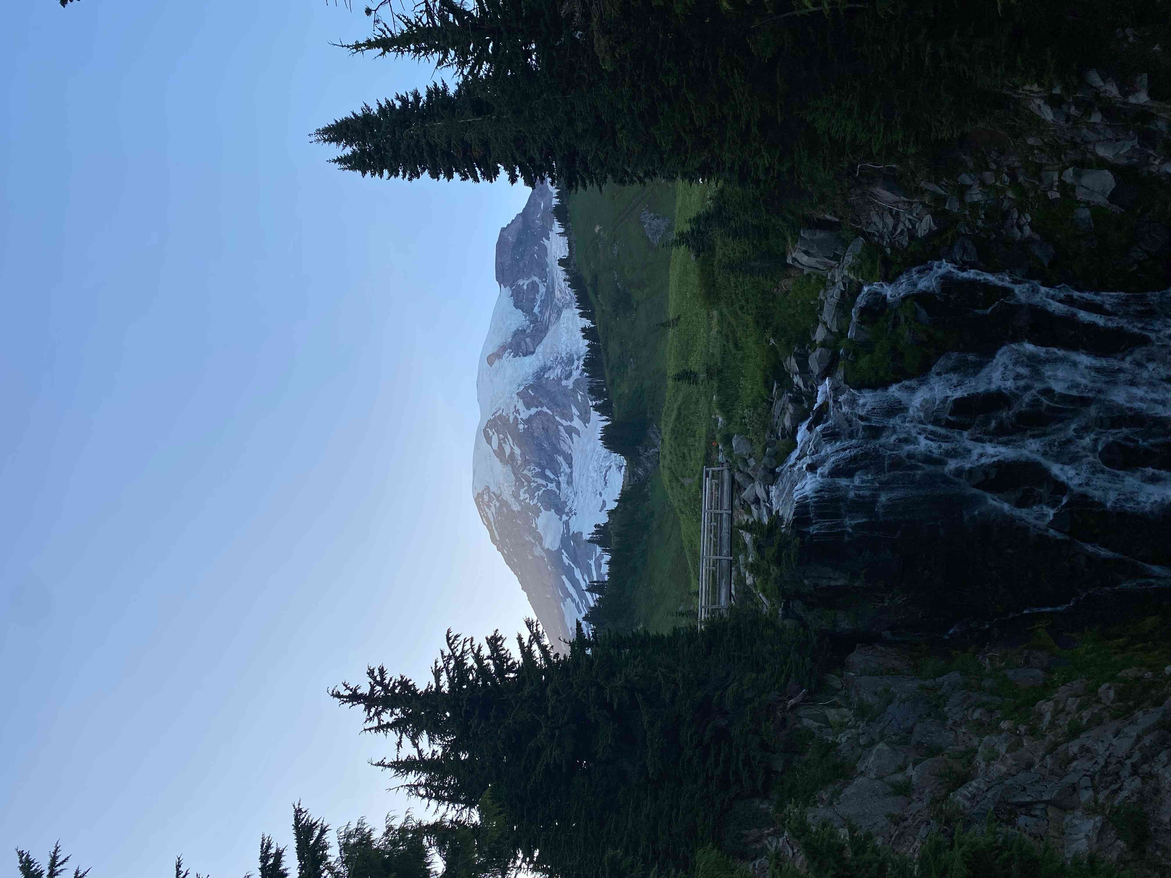 mount rainier trail near visitor center